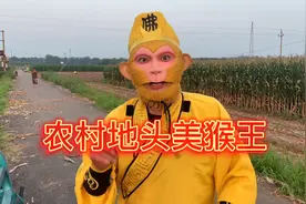 农村小伙做自媒体，模仿孙悟空一个视频竟然收益这么高，地头继续视频封面
