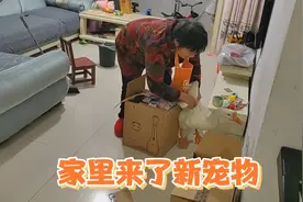 还记得小时候被鹅追着跑吗？今天姐弟俩就遇到了，吓得嗷嗷叫视频封面