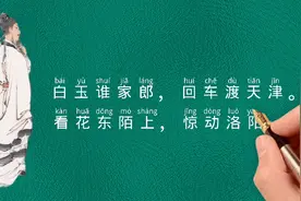 看花东陌上，惊动洛阳人《洛阳陌》唐李白古诗词鉴赏拥抱新时代视频封面