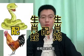 十二生肖速配详解：生肖蛇配生肖鸡。快转给身边属蛇和属鸡的人。视频封面