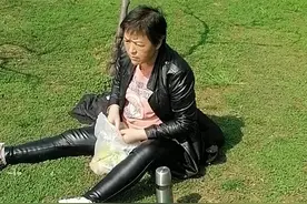 邮政快递单号查询