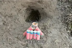 小伙用“二踢脚”围殴一窝田鼠，老鼠走投无路拼死挣扎，太惨了视频封面