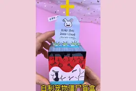 自制宠物僵尸盲盒 萌宠大作战兔子创意盲盒#手工#自制盲盒视频封面