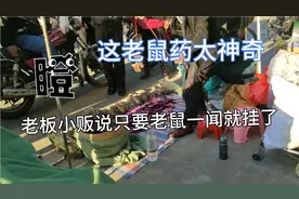 这老鼠药太神奇了，老鼠只要一闻就挂，鸡猫狗吃到都没事！视频封面