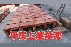 坡姐在平房顶上做菜园子，垒菜池子方法简单，不用做防水，看看