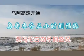 乌阿高速开通，乌鲁木齐三小时到福海，观乌伦古湖冬捕盛况视频封面