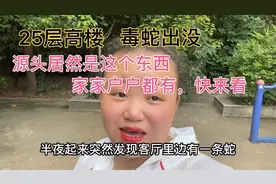 25层高楼惊现毒蛇，源头在哪？快看你家有没有