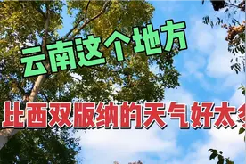 云南真正四季如春的地方，比西双版纳要好太多视频封面