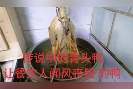 传说中的白切青头鸭，能让餐饮人闻风丧胆的鸭。