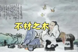 《寓言故事》-不材之木，弘扬国学文化，传承历史精髓视频封面