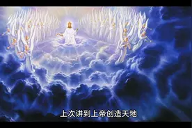 世界上最早的植物和动物视频封面