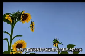 十二地支藏干规律（泛泛学易记 34）视频封面