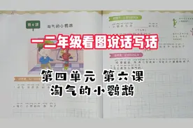 一二年级看图说话写话 第四单元第六课 淘气的小鹦鹉视频封面