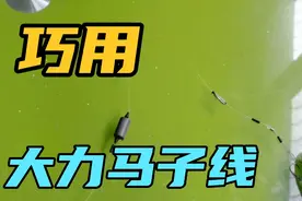 用大力马线作子线，既柔软不挡口，又能保护主线的方法，上鱼率高视频封面