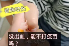 女儿被狗咬伤，婆婆说没流血不用打针，虎妈气的无语，难道我错了视频封面