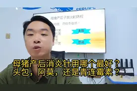 母猪产后消炎针用哪个最好？头包，阿莫，还是青连霉素？🤓🤓视频封面