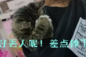 扑捉一只睡在姐姐帽子里小猫咪，太可爱了，萌宠的迷惑行为