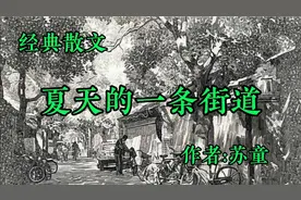 《夏天的一条街道》作者，苏童