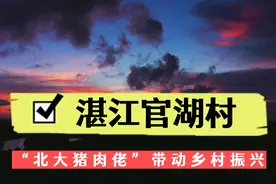 官湖村蝶变视频封面