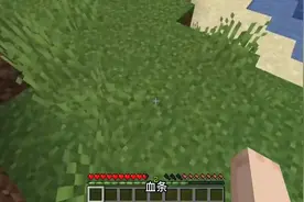 我的世界:超多状态条