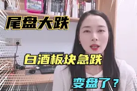 白酒板块急跌，变盘了，原因竟然是？