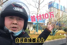 揭秘南阳白河南边绿都新楼盘，首付10万各种房型都有，到底中不中视频封面