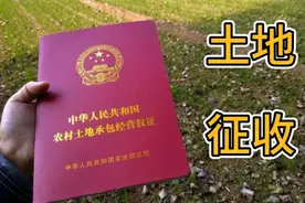 农村土地征收4万元一亩，转手开发商200万元，农民怎么想？视频封面