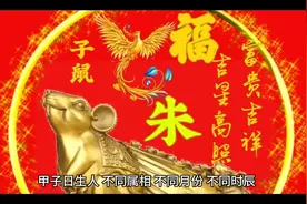 甲子日主各属相和各时辰！视频封面