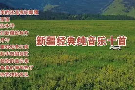 新疆经典纯音乐十首 浓厚的地域特色 节奏活泼鲜明 让人心旷神怡视频封面