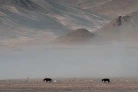 心生一念，天地皆知。视频封面