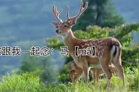 大家跟我一起念：马『mǎ』视频封面