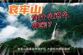 神奇的云南哀牢山，有虎有蛇，五十年代还有原始部落，你了解吗？视频封面
