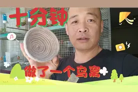 关内小城和玉鸟养殖大户学习自己做鸟窝，十分钟就玉鸟一个怎么样