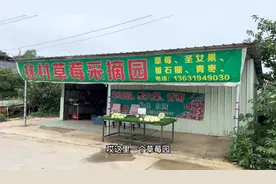 路边偶遇一个水果自助摊，老板心真大，就不怕人偷？视频封面