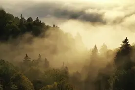 （30分钟）站桩“放松入静”纯音乐（优美舒缓，适合初学者）……视频封面