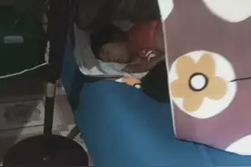 两个熊孩子的好办法，就这样睡了一夜居然没没换地方视频封面