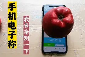 今天才知道，手机里还有一个电子秤功能，据说能精确到0.01