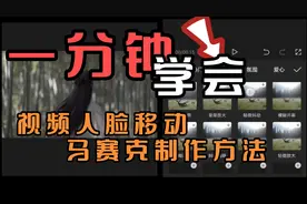 一分钟学会。动态视频马赛克遮盖人脸制作方法！
