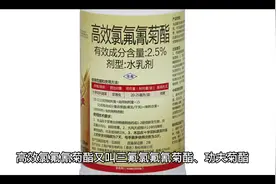 高效氯氟氰菊脂的作用和原理视频封面