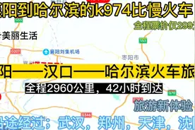 襄阳始发最远的火车来了，全程2960公里，票价仅299元，去哈尔滨视频封面