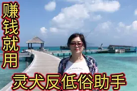 0粉丝想赚钱，使用灵犬反低俗助手能提高收益#图文成片打卡挑战#视频封面