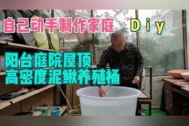 广西农博老张：自己动手制作家庭阳台庭院屋顶，高密度泥鳅养殖桶视频封面