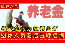 养老金十六级大解析，退休人员直呼后悔，您是几级呢？视频封面