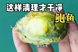 鲍鱼正确的清理方法应该是这样的视频封面