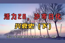 活力28，沙市日化，湖北第一民族品牌兴衰史，下集视频封面