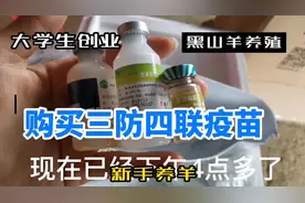 小羊羔出生半个月需要注射疫苗视频封面