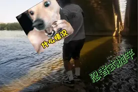 路亚钓手“我最帅”牛X忍者式抛竿视频封面