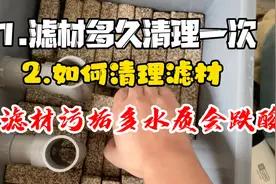 滤材多久清理一次，如何清理，滤材污垢多鱼缸水质会跌酸