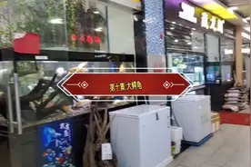 鳄龟有两大类，今天分享50多斤大鳄龟，一只鳄龟价值高达68000元