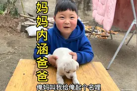 妈妈内涵爸爸，熊孩子真心听不懂，还一个劲帮爸爸说话，真有才视频封面